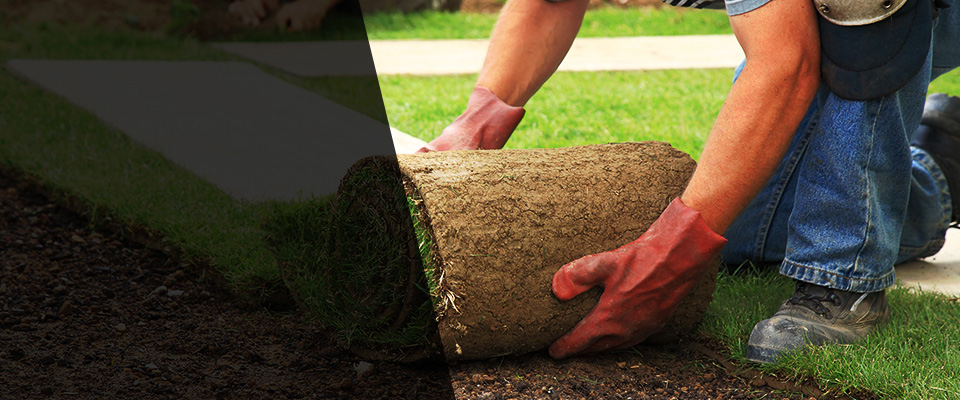 Bay City Landscapers